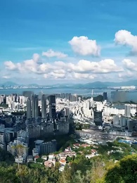 ตอนที่ 7 - ลึกในป่ามิพบกวาง
