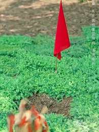 來時風雪去時晴 - Episode 39