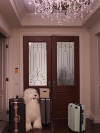 Episodio 16 - Fratellastro Mio