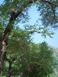 第7集 - 八零撿個老公是院長