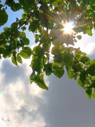 L'Héritière est une Domestique! - Episode 13