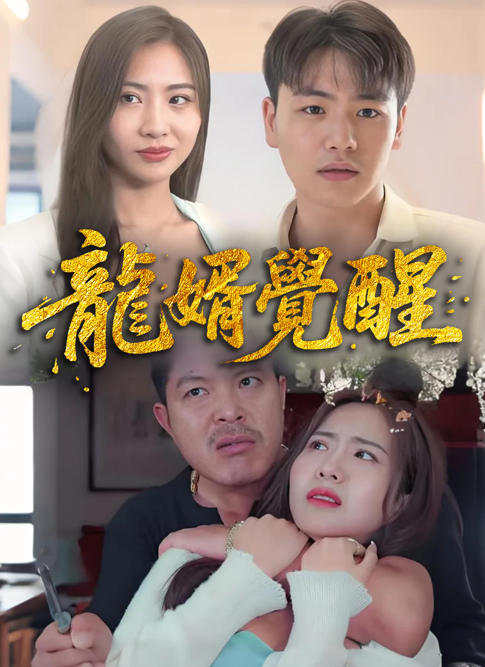 《龍婿覺醒》封面