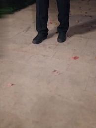 Episodio 23 - Solo se il figlio è devoto