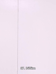 CEO'nun Tatlı Karısının İntikamı - Episode 87