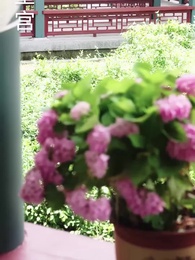 第23集 - 全府偷聽心聲我被追著寵