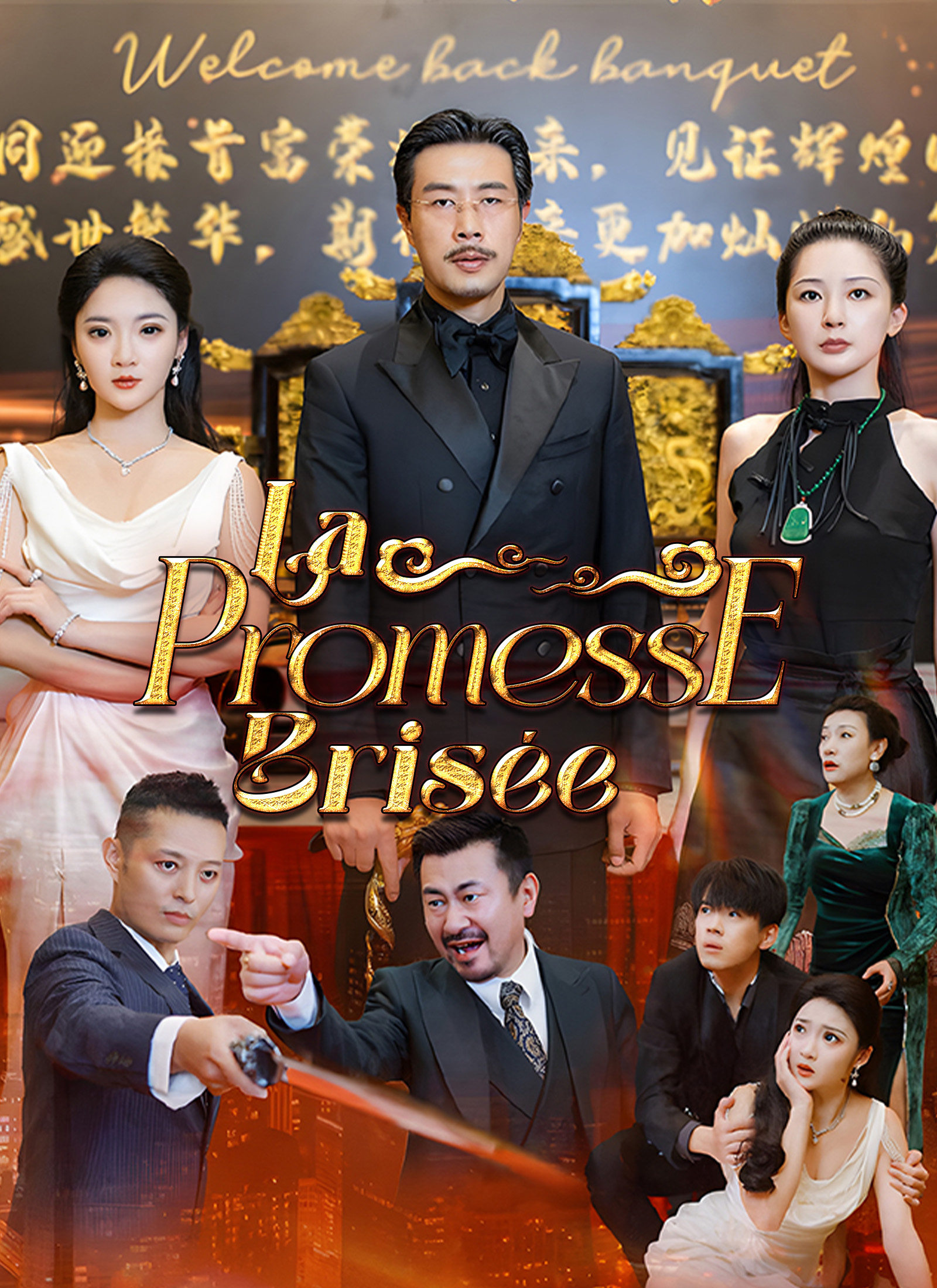 Couverture de La Promesse Brisée