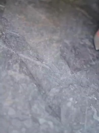 2화 - 나는야 갑부 아가씨