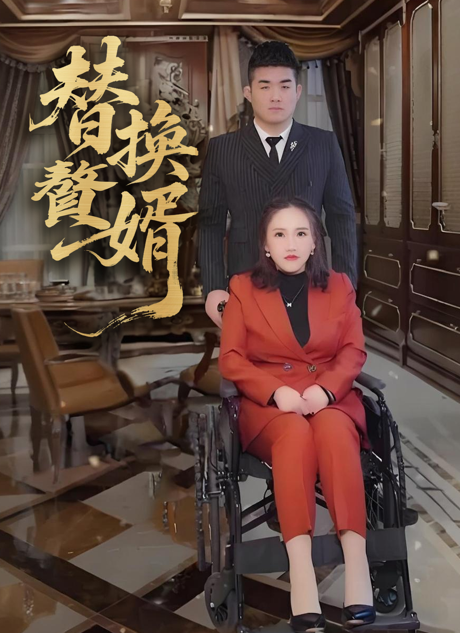 《替換贅婿》封面