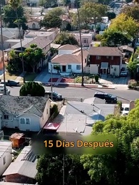 Bebé genio: Papá, por favor llévate a mamá - Episode 9