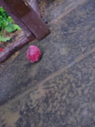 Ütopya - Episode 41