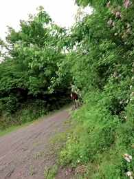 Bölüm 56 - İmparatorun Lütfu: Saray Nedimesinden İmparatoriçeye