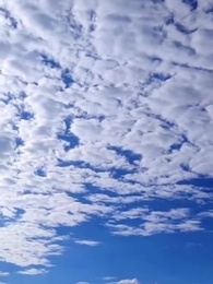 Épisode 50 - Le Dieu-Dragon en Ville