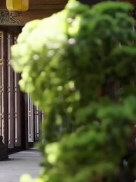 47화 - 왕비 모험기