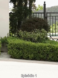 Episódio 1 - Quando É Tarde Demais