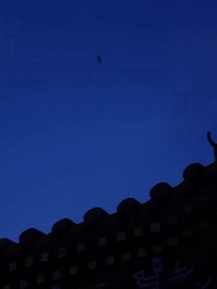 왕비 모험기 - Episode 30