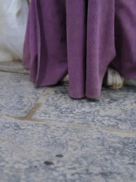 Vereint im Himmlischen Reich - Episode 49