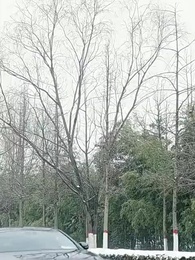 74화 - 나만의 애인