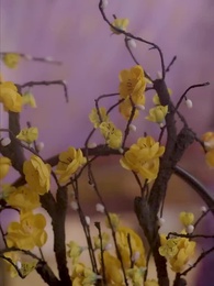 20화 - 신의독비 삽천하