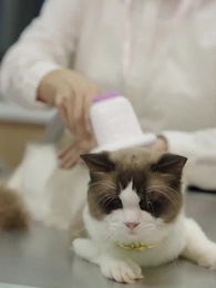 Episodio 9 - Derritiendo el Corazón del Billonario