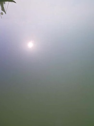 Episodio 64 - Donde ruge el dragón celestial