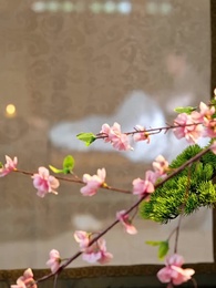 58화 - 폐하께서 기뻐하십니다