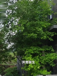 如果情深不可說 - Episode 27