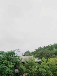 20화 - 불구 왕야와 나