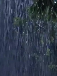 24화 - 엇갈린 사랑