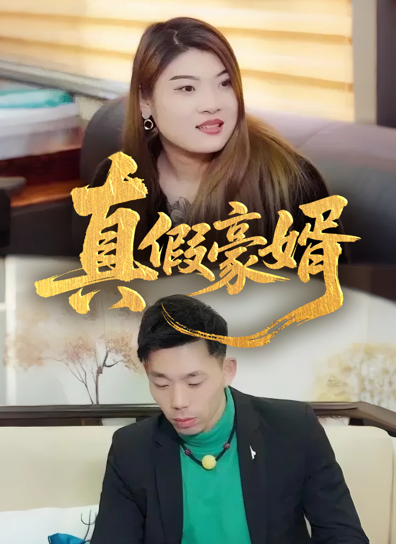 《真假豪婿》封面