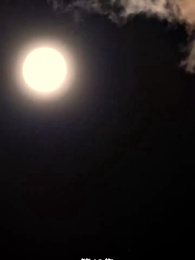 第48集 - 首領的禁忌之愛