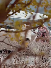 막을 수 없는 사랑 - Episode 12