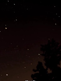 第49集 - 首領的禁忌之愛