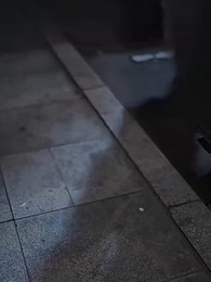 계약 결혼의 정석 - Episode 1