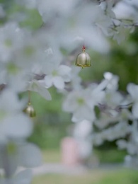 第9集 - 暴雨將至，愛已擱淺