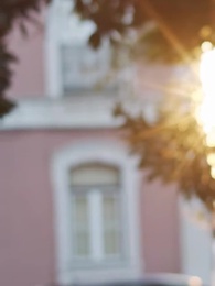 奇跡の可愛い孫、甘やかし日和 - Episode 2