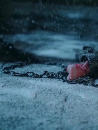 달빛을 그리다 - Episode 1