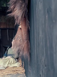 第38集 - 棄妃京華