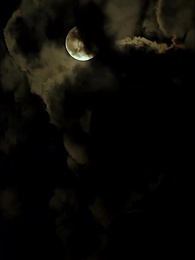 第36集 - 失憶後頂流夫婦又熱戀了