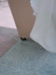 暴雨將至，愛已擱淺 - Episode 10