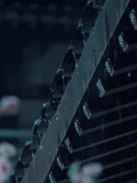 第6集 - 棄妃京華