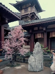 第60集 - 棄妃京華