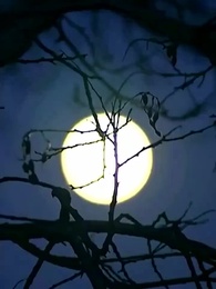 춘화경명 - Episode 34