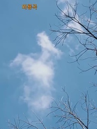 31화 - 이번 생은 영광으로