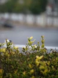 第57話 - 奇跡の可愛い孫、甘やかし日和