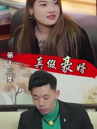 第13集 - 真假豪婿