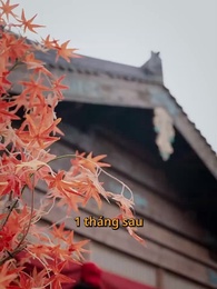 Nhà Có Bốn Nhóc Trùm - Episode 21