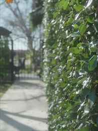 第15集 - 不速之客