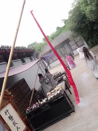 第30集 - 毒妃嫁到