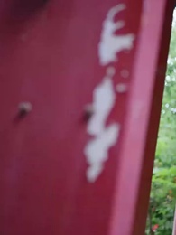 Vingança em Véu e Grinalda - Episode 10