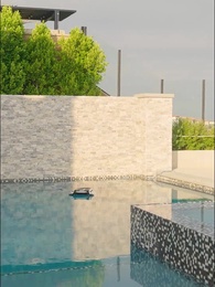 第27集 - 不速新郎